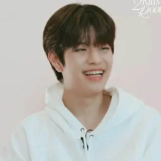 🗞 emoji ★ seungmin |@skzstickersss Telegram sticker 11 of 60