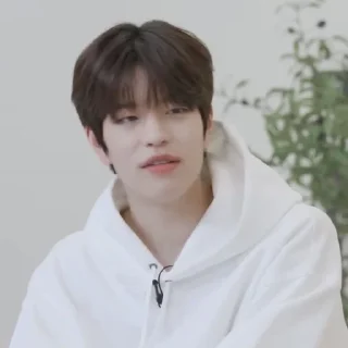 🗞 emoji ★ seungmin |@skzstickersss Telegram sticker 6 of 60