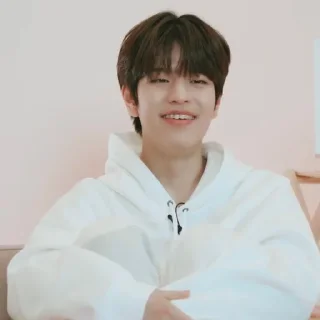 🗞 emoji ★ seungmin |@skzstickersss Telegram sticker 21 of 60
