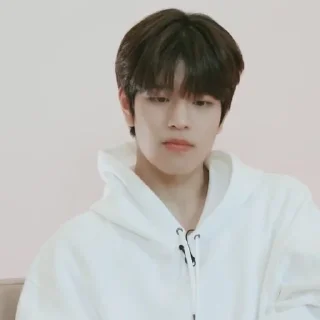 🗞 emoji ★ seungmin |@skzstickersss Telegram sticker 14 of 60