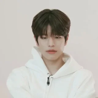 🗞 emoji ★ seungmin |@skzstickersss Telegram sticker 24 of 60