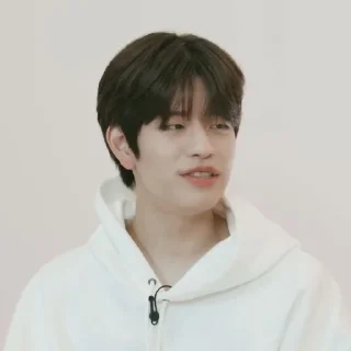🗞 emoji ★ seungmin |@skzstickersss Telegram sticker 13 of 60