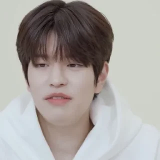 🗞 emoji ★ seungmin |@skzstickersss Telegram sticker 7 of 60