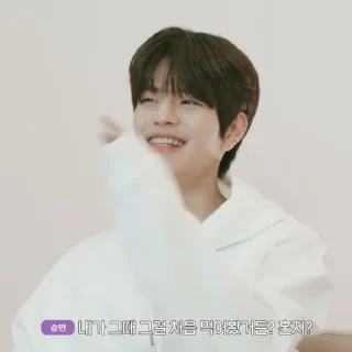 🗞 emoji ★ seungmin |@skzstickersss Telegram sticker 3 of 60