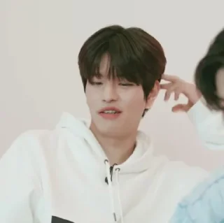 🗞 emoji ★ seungmin |@skzstickersss Telegram sticker 9 of 60