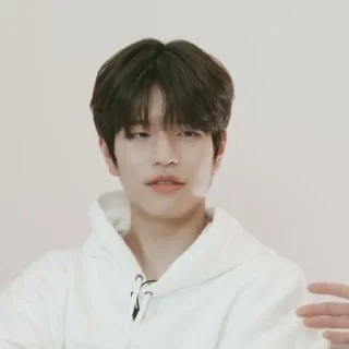 🗞 emoji ★ seungmin |@skzstickersss Telegram sticker 16 of 60