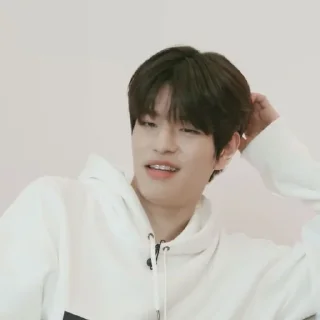 🗞 emoji ★ seungmin |@skzstickersss Telegram sticker 5 of 60