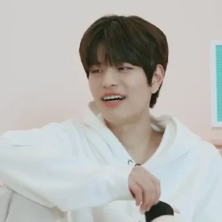🗞 emoji ★ seungmin |@skzstickersss Telegram sticker 22 of 60