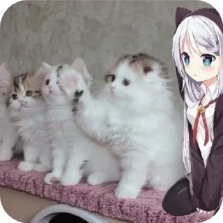 Sticker from новая ебля