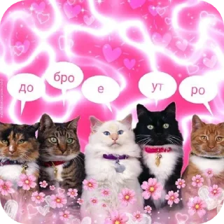 Sticker from новая ебля