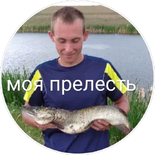 Sticker from Новая жизнь