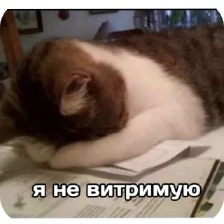 🐱 emoji my mood Telegram sticker 14 of 111
