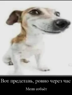 🤔 emoji Пофек тебе да? @MyProjectsUA Telegram sticker 12 of 16