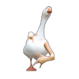 🤟 emoji U R J  YouTube Telegram sticker 18 of 19