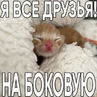 🌟 emoji мили коти Telegram sticker 4 of 80