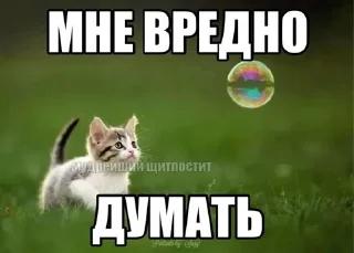 🌟 emoji мили коти Telegram sticker 6 of 80