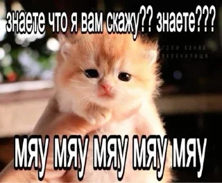 🌟 emoji мили коти Telegram sticker 7 of 80