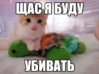 🌟 emoji мили коти Telegram sticker 9 of 80