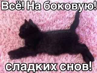 🌟 emoji мили коти Telegram sticker 5 of 80