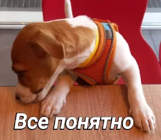 😭 emoji Пушок ван лав Telegram sticker 15 of 60