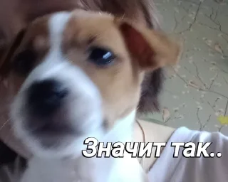 😠 emoji Пушок ван лав Telegram sticker 18 of 60