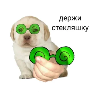 Sticker from 13 карт