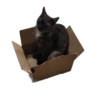📦 emoji Злоєбучка Акі 🐈‍⬛ Telegram sticker 14 of 52