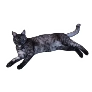 😐 emoji Злоєбучка Акі 🐈‍⬛ Telegram sticker 23 of 52