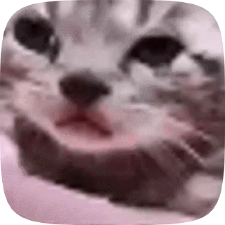 Sticker from Больше стикеров тут: @MelStickers
