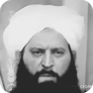 👳 emoji political Telegram sticker 19 of 118