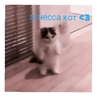 🥰 emoji сайленс от @ineedyoooooouuu Telegram sticker 10 of 14