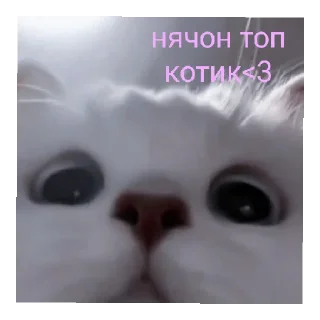🥰 emoji сайленс от @ineedyoooooouuu Telegram sticker 4 of 14