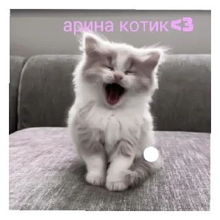 🥰 emoji сайленс от @ineedyoooooouuu Telegram sticker 5 of 14