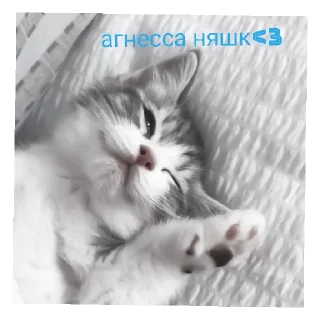 🥰 emoji сайленс от @ineedyoooooouuu Telegram sticker 2 of 14