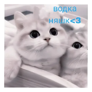 🥰 emoji сайленс от @ineedyoooooouuu Telegram sticker 6 of 14
