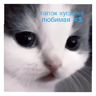 🥰 emoji сайленс от @ineedyoooooouuu Telegram sticker 1 of 14