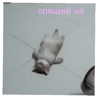 🥰 emoji сайленс от @ineedyoooooouuu Telegram sticker 3 of 14