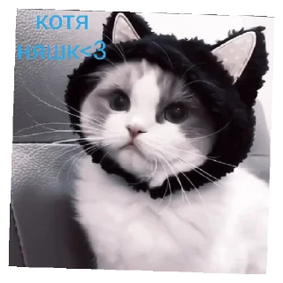 🥰 emoji сайленс от @ineedyoooooouuu Telegram sticker 8 of 14