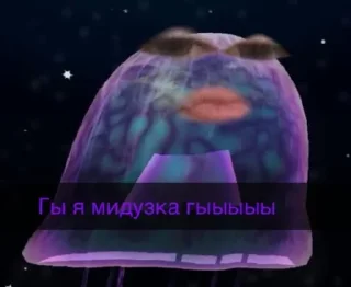 🌮 emoji волчица ауф красотка майюха Telegram sticker 10 of 33