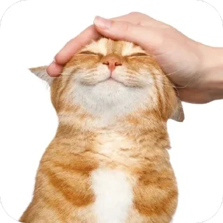 🫥 emoji Рандомчик от мали 💕 Telegram sticker 12 of 101