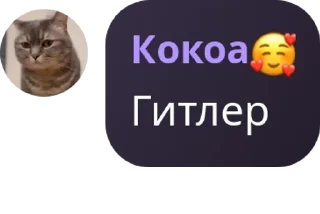 🌂 emoji У Дианы завтра будет понос Telegram sticker 13 of 120