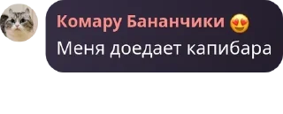 ✝️ emoji У Дианы завтра будет понос Telegram sticker 12 of 120
