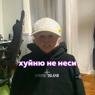 🤨 emoji айдарчик стикерс Telegram sticker 13 of 120