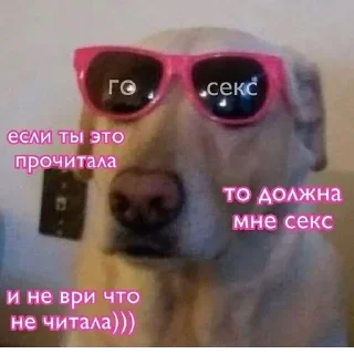 🤗 emoji айдарчик стикерс Telegram sticker 17 of 120