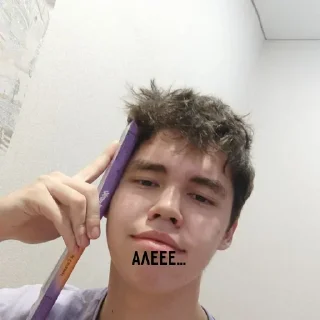 🙃 emoji айдарчик стикерс Telegram sticker 11 of 120