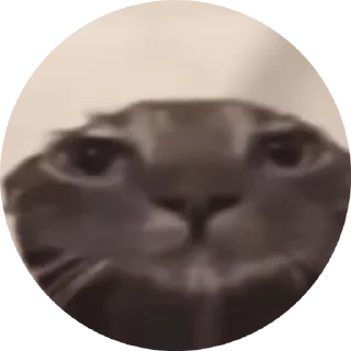 Хорошисики!! sticker 4
