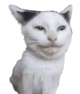 🙂 emoji Избранные @zensticks Telegram sticker 12 of 120