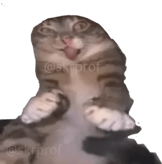 🤪 emoji Избранные @zensticks Telegram sticker 14 of 120