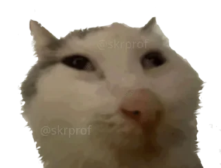 😦 emoji Избранные @zensticks Telegram sticker 16 of 120