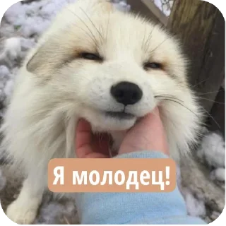 Sticker from Лисичка